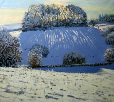 Campo di ombre, vicino a Youlgrave, Derbyshire da Andrew Macara
